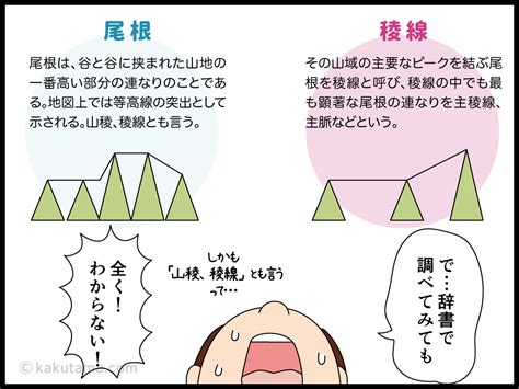 稜線 意思|稜線（りょうせん）とは？ 意味・読み方・使い方をわかりやす。